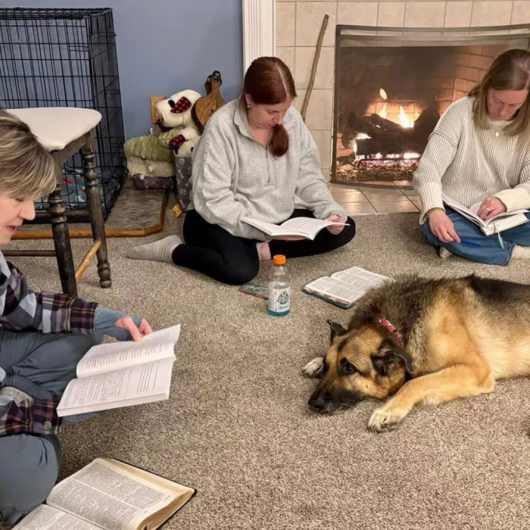 Small group reading together in living room with fireplace and dog resting nearby